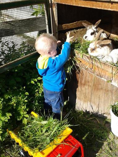 Frühstückspension: Andenbacherhof