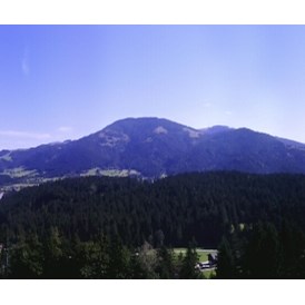 Frühstückspension: Panoramablick von der Terasse - Duschberghof