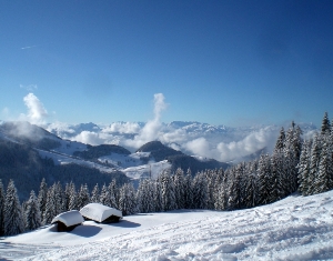 Frühstückspension: Unsere Alm im Skigebiet - Duschberghof