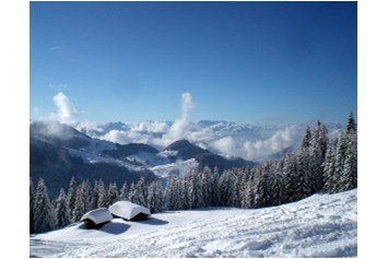 Frühstückspension: Unsere Alm im Skigebiet - Duschberghof