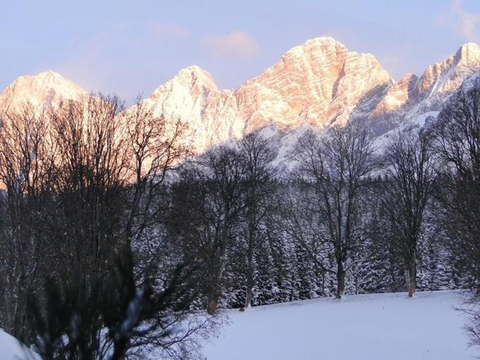 Frühstückspension: Landhaus Wieser