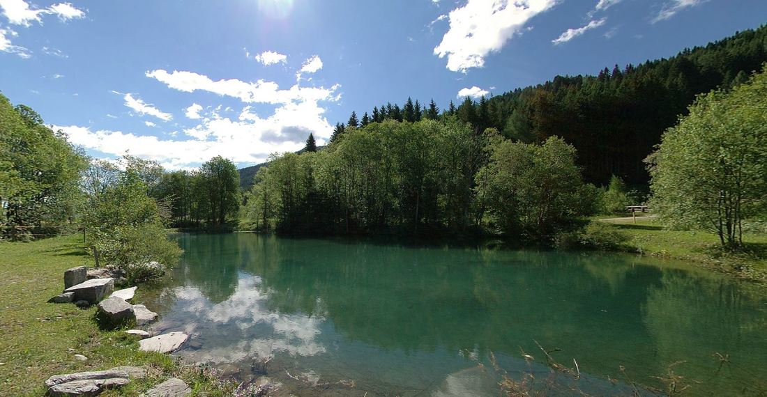 Frühstückspension: PENSION FORELLENHOF SPEICHER TASSENBACH FISCHEREI - Pension Forellenhof