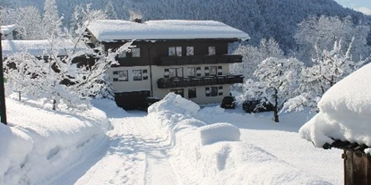 Pensionen - Parkplatz: kostenlos bei der Pension - Alpbach - Winter am Ticklhof  - Appartements Ticklhof am See
