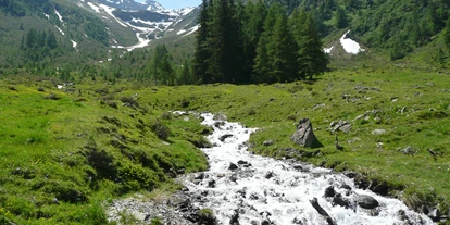 Pensionen - Serfaus - Natur  - Gasthof Alpenblick