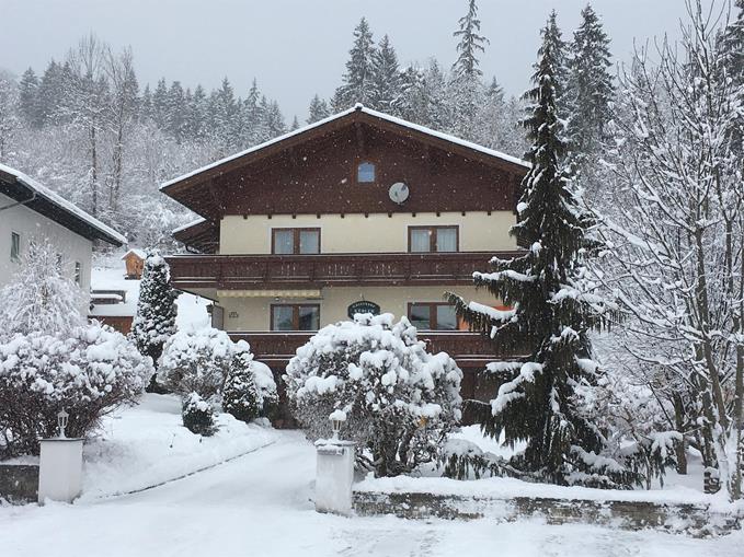 Pensionen - Garten - Hallstatt - Gästehaus Kübler