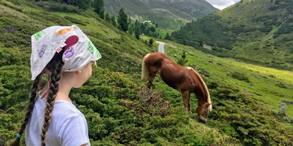Pensionen - WLAN - Ötztal - Ferienwohnungen der Veitenhof Familie Leiter Biobauernhof Sommer Pferde Alm Urlaub Ötztal Niederthai - Bio & Reiterhof der Veitenhof