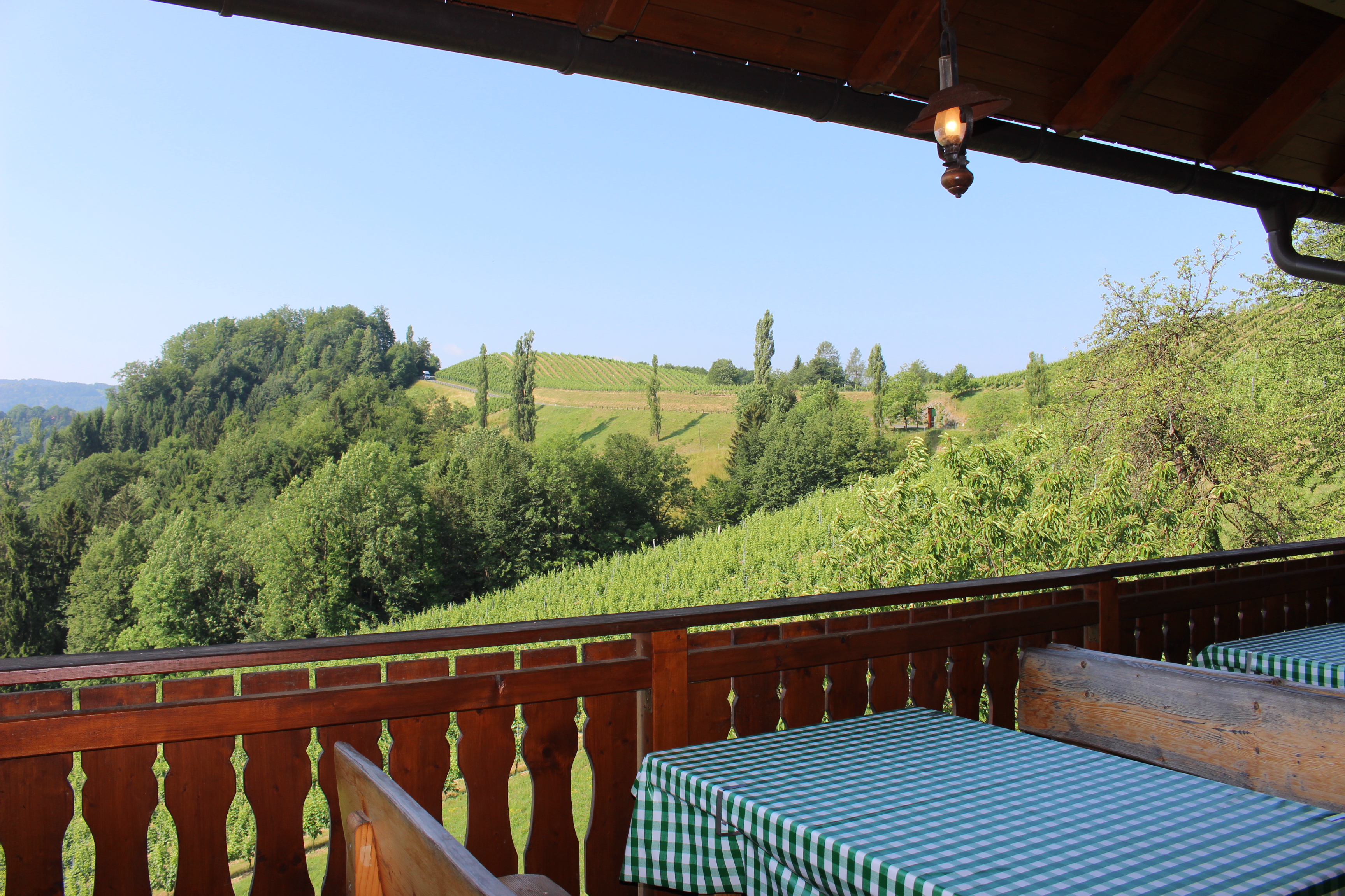 Pensionen - Arnfels - Sonnenterasse - Weingut Juritsch