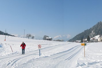 Frühstückspension: Panorama Oberau - Gasthof - Pension Schneerose