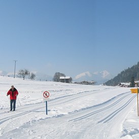 Frühstückspension: Panorama Oberau - Gasthof - Pension Schneerose