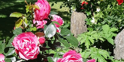 Pensionen - Naturns - Unser Garten - Linserhof