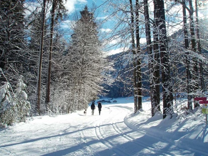 Pensionen - Balkon - Oberstdorf - Winderwanderwege und Langlaufloipen, bestens gepflegt und prepariert - quer Feld ein - über 60 km - direkt vom Haus beginnend! - Wohlfühlhaus Evelin