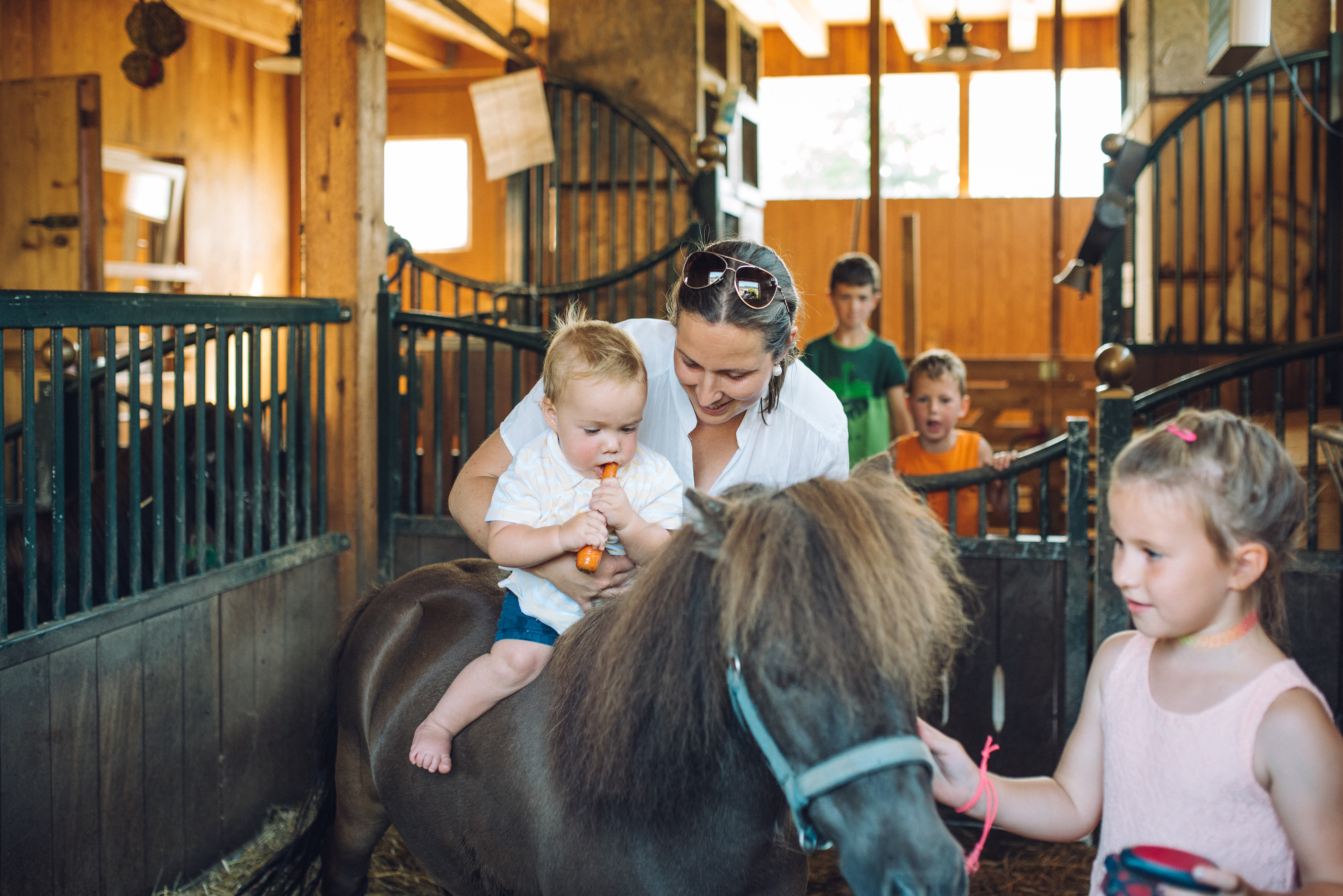Pensionen - Dornbirn - Erlebnisgästehaus Kanisfluh