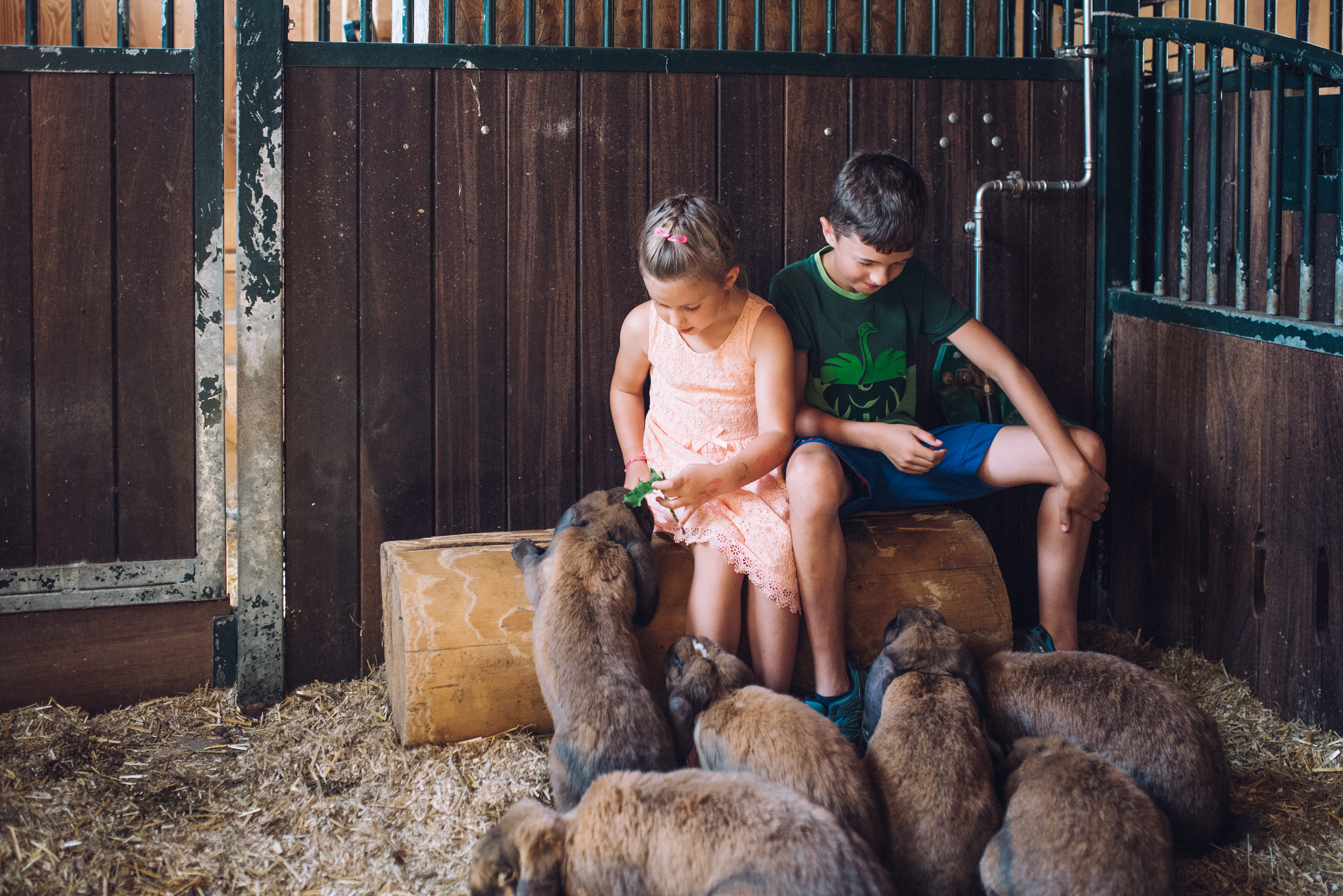 Pensionen - Dornbirn - Erlebnisgästehaus Kanisfluh