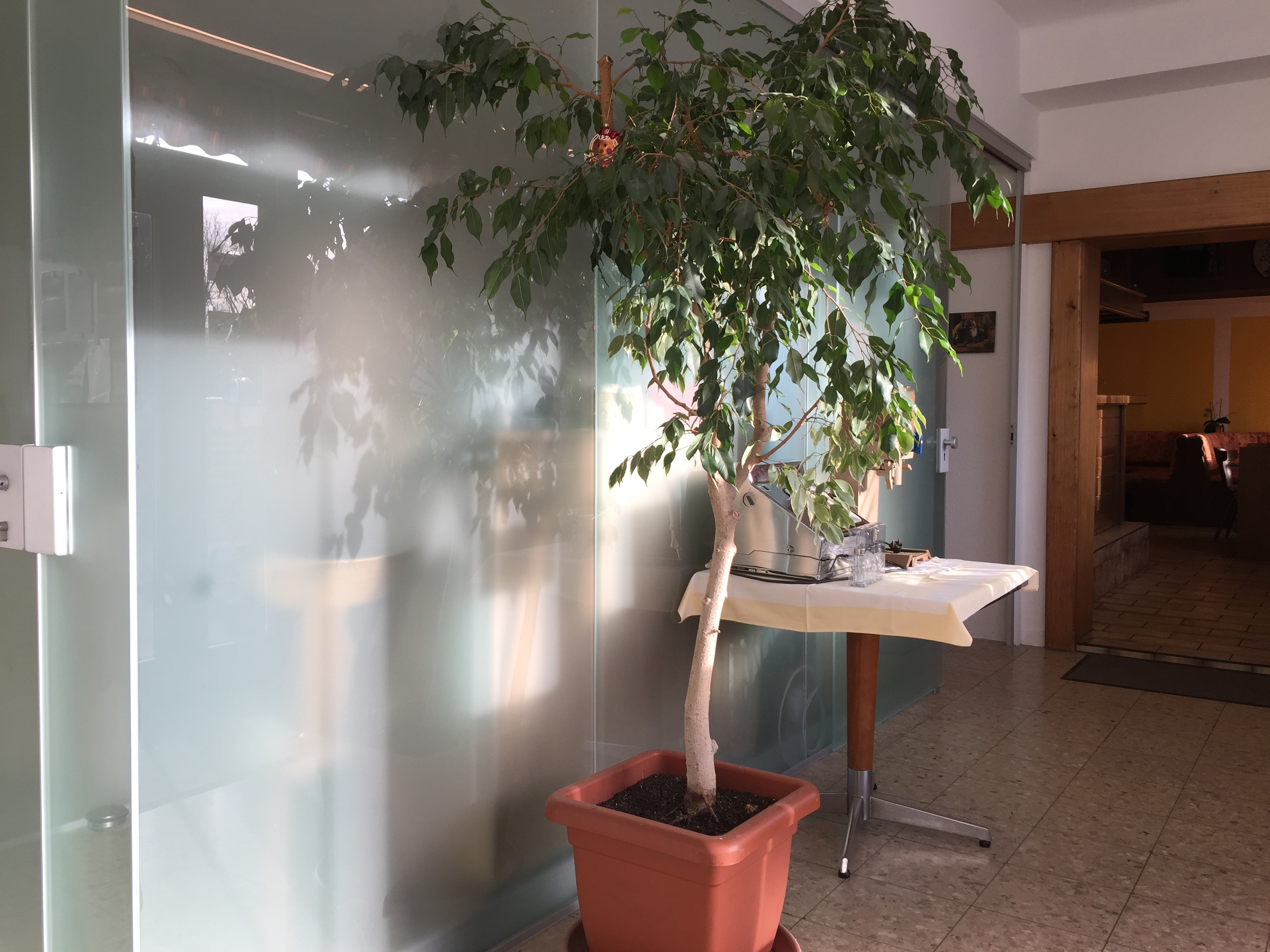 Pensionen - Restaurant - Region Bodensee - Pension Wachter