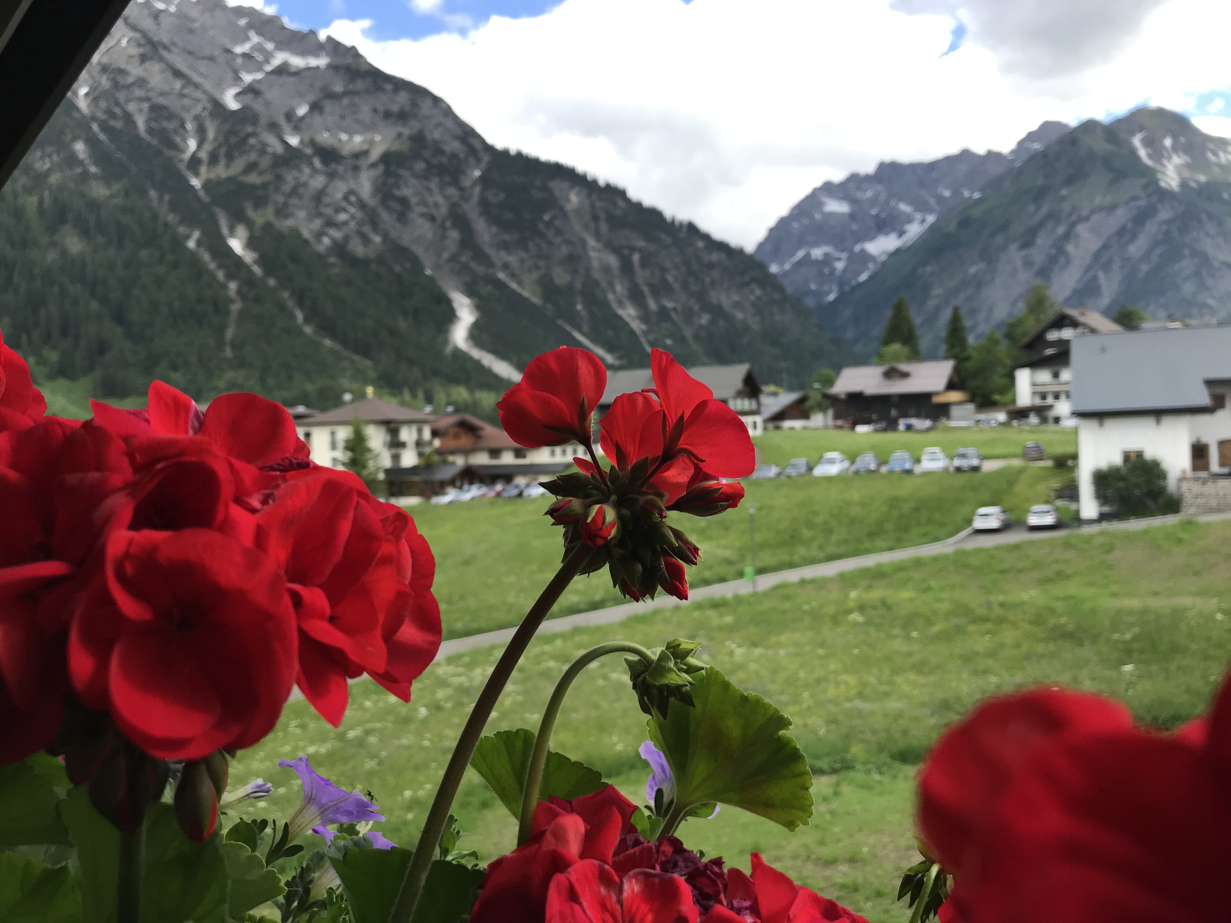 Frühstückspension: Aussicht - Gästehaus Fritz