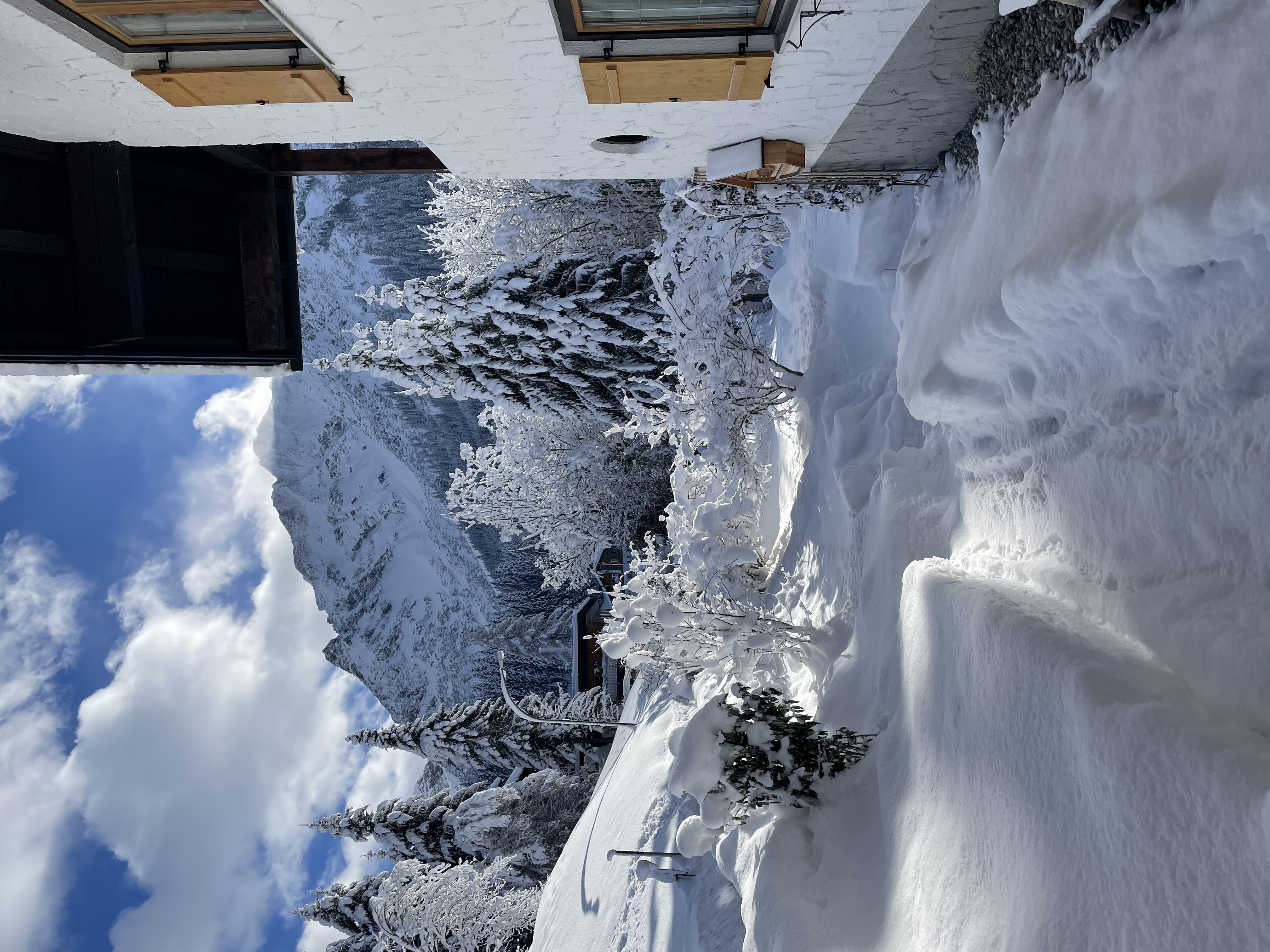 Frühstückspension: Wintertag mit Neuschnee - Gästehaus Tannegg