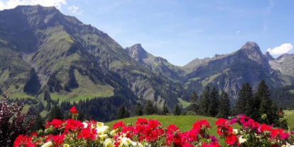 Pensionen - Garten - Vorarlberg - Haus Annette