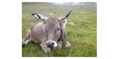 Pensionen - Garten - St. Gallenkirch - Haus Vilgrassa