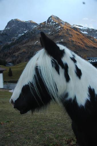 Frühstückspension: Haus Wallis