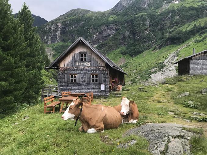 Frühstückspension: Eliashof