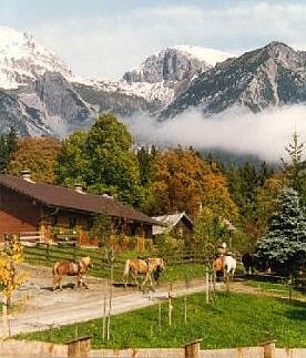 Pensionen - Frühstück: Frühstücksbuffet - Untertauern (Untertauern) - Reiterhof Brandstätter-Töltl