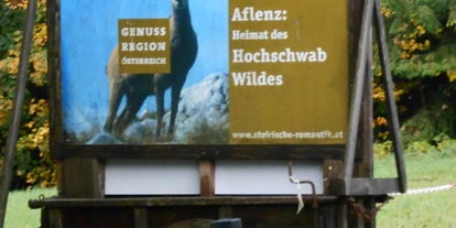 Pensionen - WLAN - Kapfenberg - Pension Gierlinger ***, Aflenz Kurort/ Steiermark