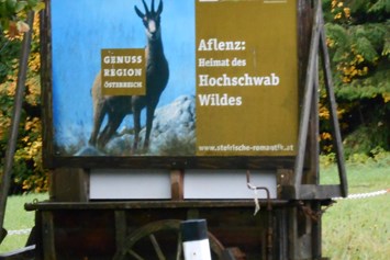 Frühstückspension: Pension Gierlinger ***, Aflenz Kurort/ Steiermark