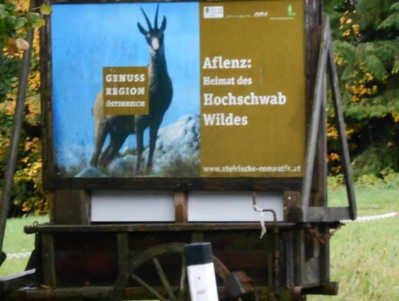 Frühstückspension: Pension Gierlinger ***, Aflenz Kurort/ Steiermark