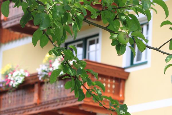 Frühstückspension: Glitschnerhof