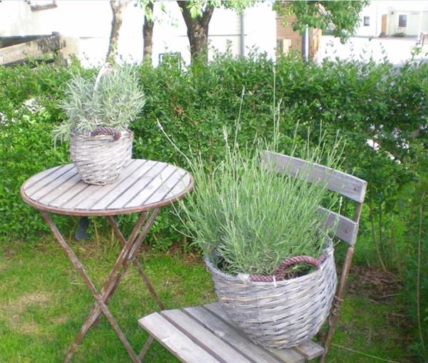 Pensionen - Admont (Admont) - Dorfwirt Wöhrer