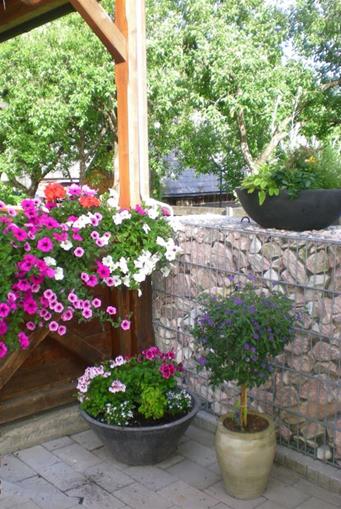 Frühstückspension: Dorfwirt Wöhrer