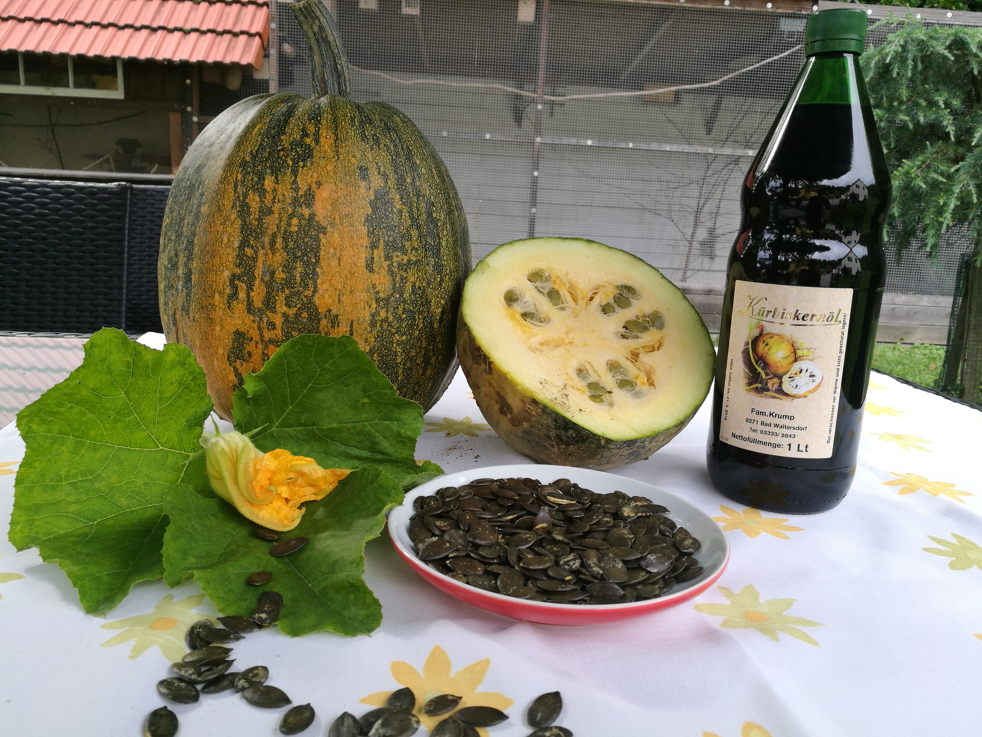 Frühstückspension: Thermenlandpension