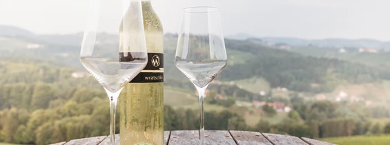 Frühstückspension: Weingut Wratschko-Merdonik