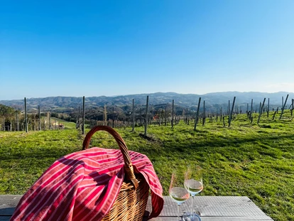 Pensionen - Parkplatz: kostenlos bei der Pension - Großklein - Picknick im Weingarten - Gästezimmer & Buschenschank am Weingut Hack-Gebell