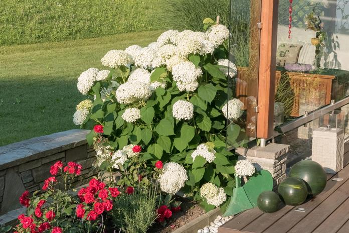 Frühstückspension: Gästehaus Seebacher