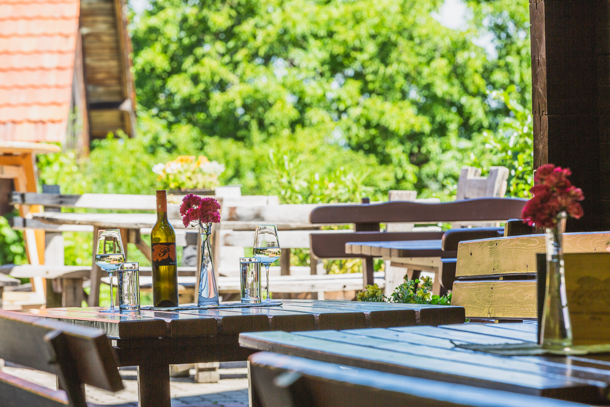 Pensionen - Arnfels - Weinlaube - Weingut & Buschenschank Pölzl