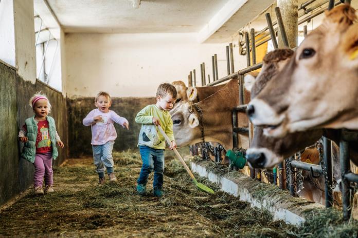 Frühstückspension: Linharterhof