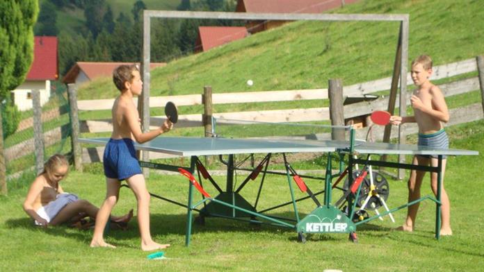 Pensionen - Garten - Hallstatt - Roanahof
