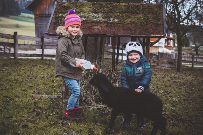 Frühstückspension: Pichlerhof