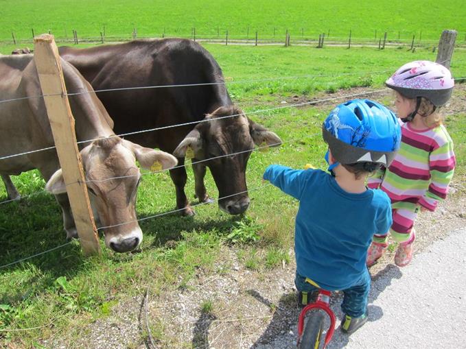 Frühstückspension: Pichlerhof