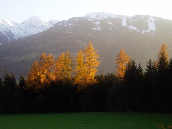 Pensionen - Steiermark - Gästehaus Wieser