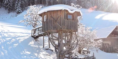 Pensionen - Hunde: erlaubt - Ramsau am Dachstein - Dirtlerhof