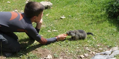 Pensionen - Restaurant - Kinder Willkomen - Familien & Wander Pension Purkhardt