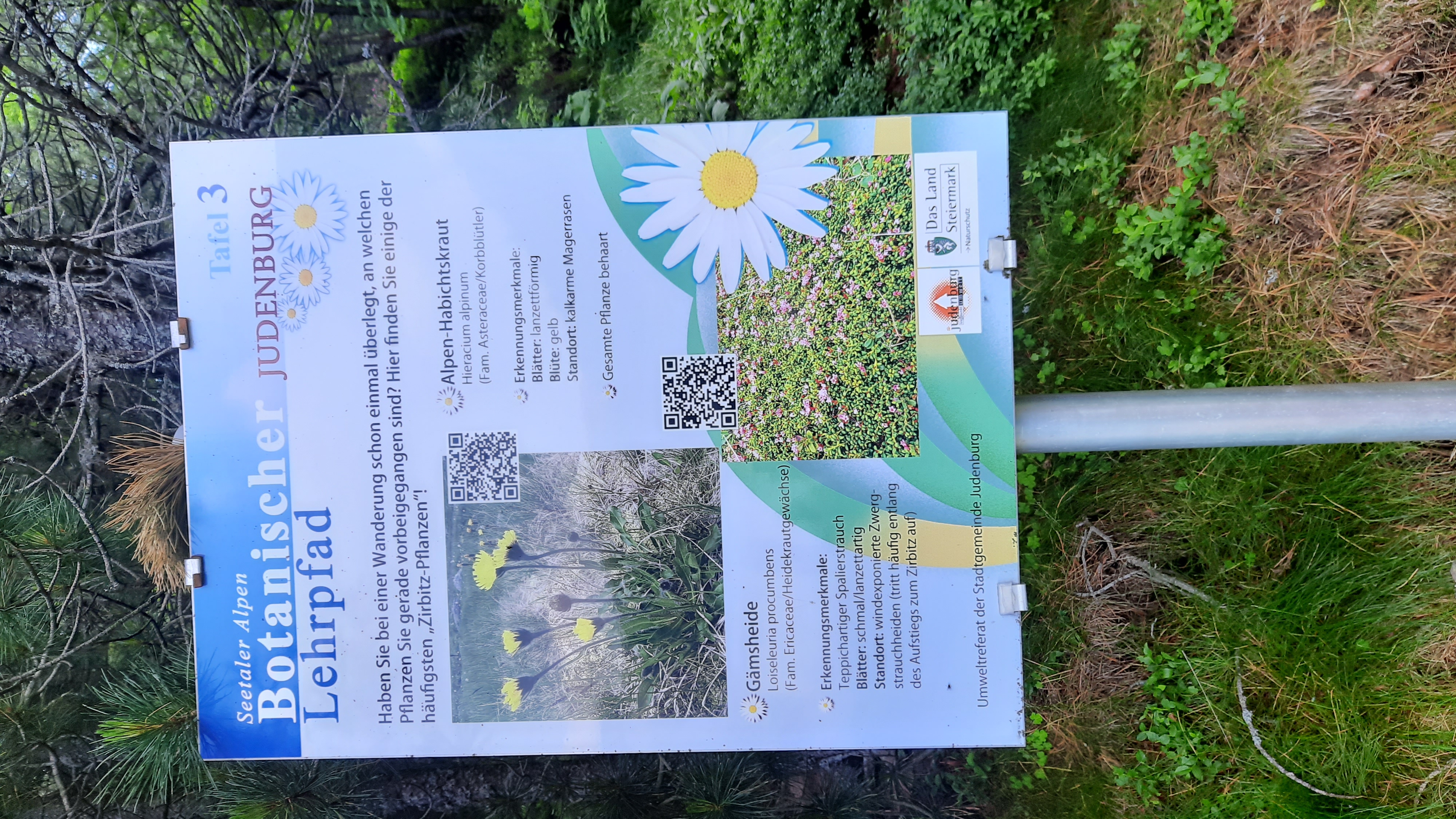 Frühstückspension Spandl Ausflugsziele 