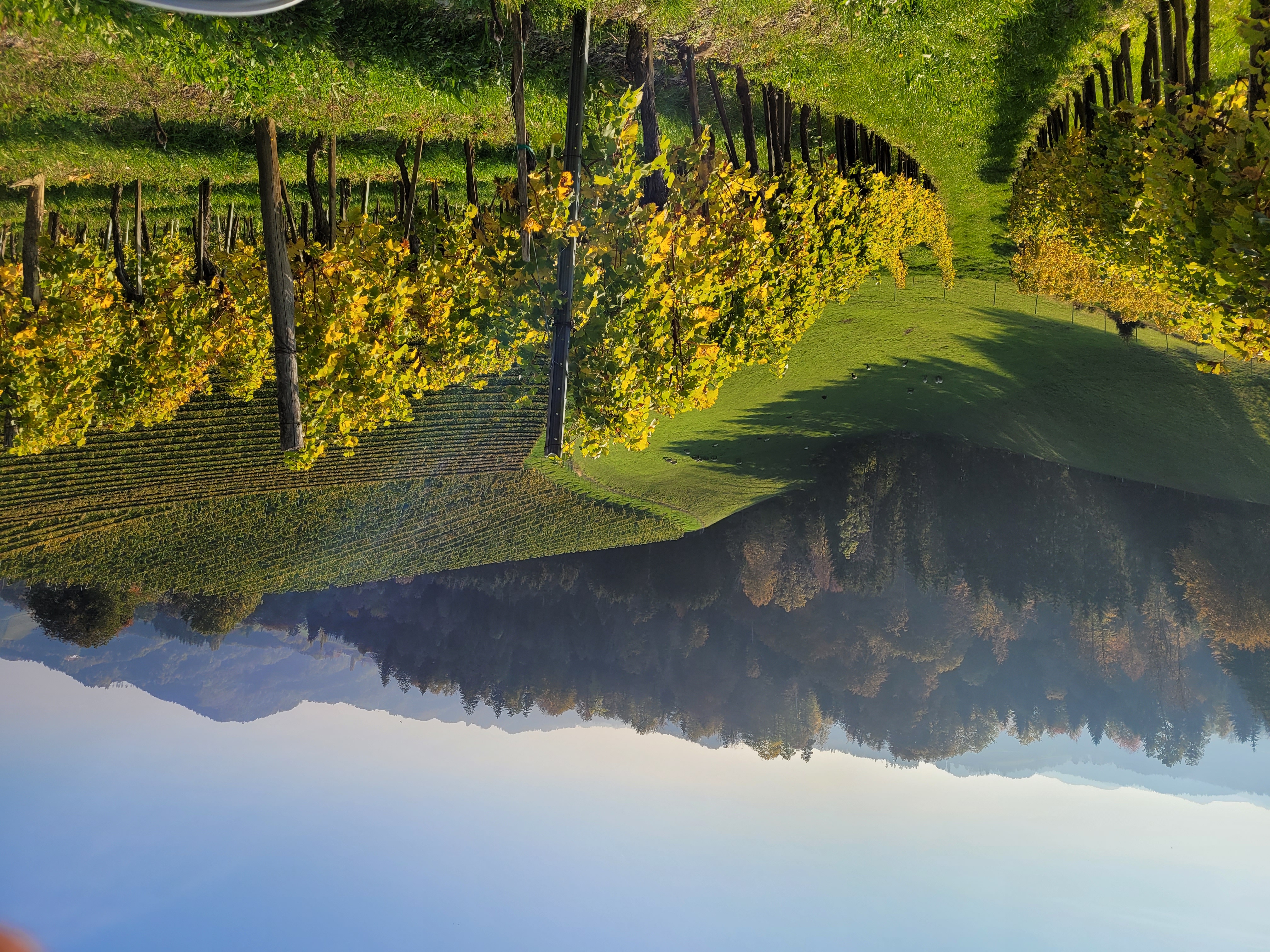 Pensionen - Arnfels - Bauernhof Kure