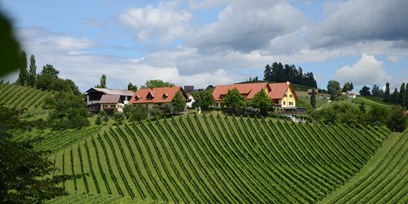 Weingut Fellner Fruhstuckspension In Steiermark
