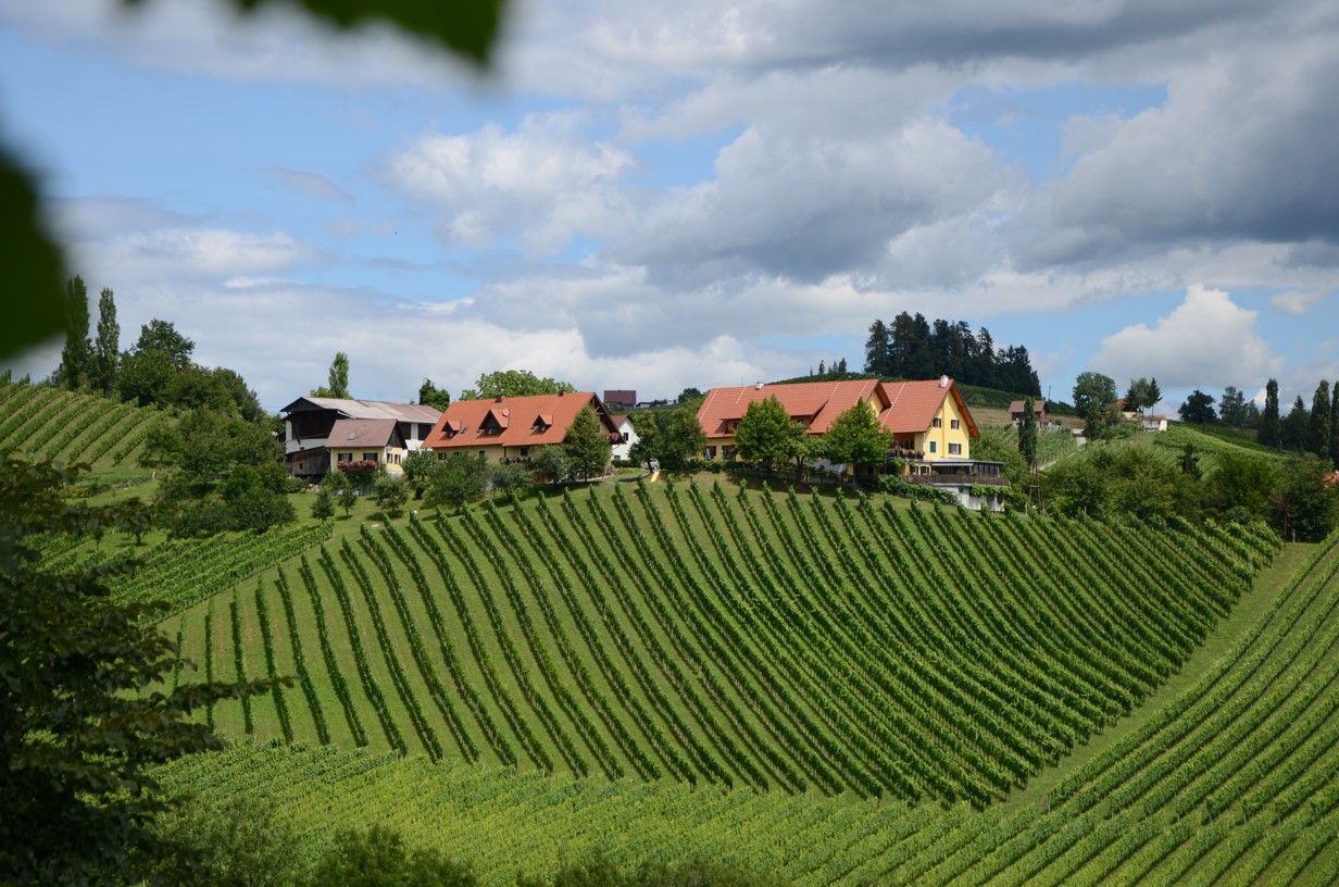 Pensionen - Arnfels - Weingut Fellner