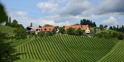 Pensionen - Parkplatz: kostenlos bei der Pension - Großklein - Weingut Fellner
