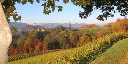 Pensionen - Parkplatz: kostenlos bei der Pension - Großklein - Weingut Fellner