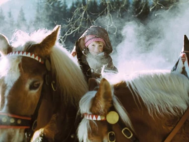 Frühstückspension: Ringlerhof